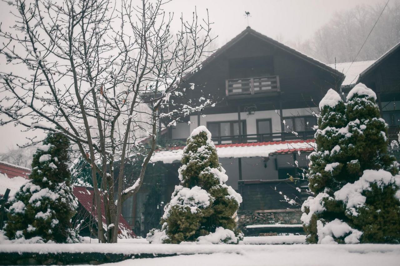 Hanul Vanatorului Gureni エクステリア 写真